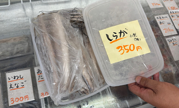 「白髪」「瓜坊」「恩知らず」　親とは別の名前をつけられる幼魚たち