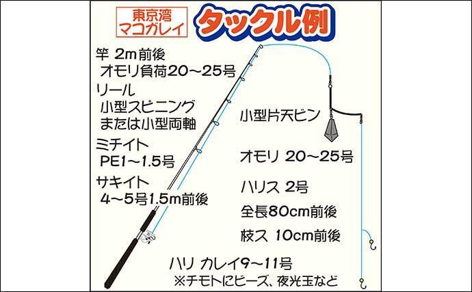 22東京湾 船カレイ釣り入門 タックル 釣り方 釣況を解説 22年1月22日 エキサイトニュース