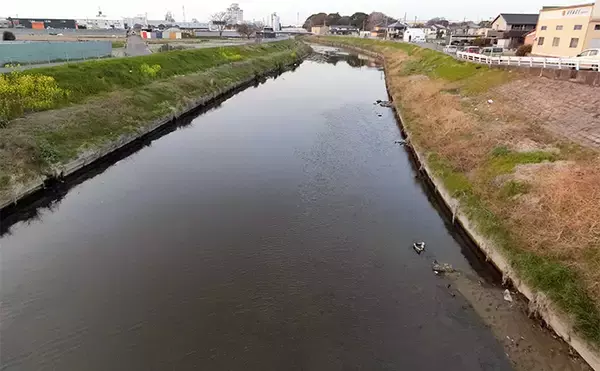 「日中のルアーナマズ釣りで65cm頭に60cmオーバー3匹キャッチ【愛知県・青木川】」の画像