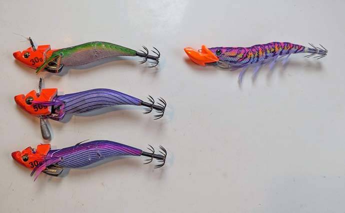 志摩沖ティップラン釣行で1.8kg頭にキロ超えアオリイカが連発【三重】