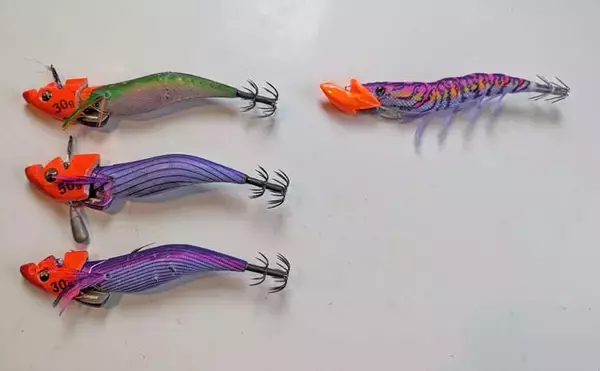 「志摩沖ティップラン釣行で1.8kg頭にキロ超えアオリイカが連発【三重】」の画像