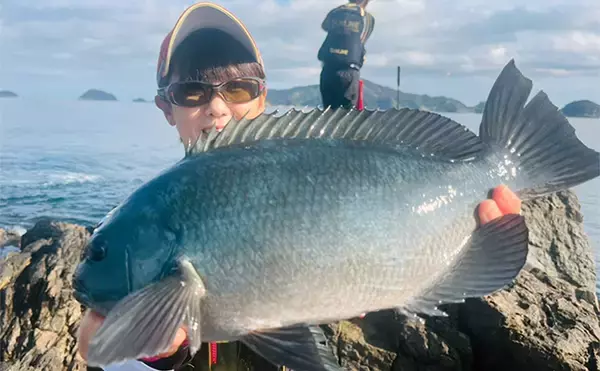 「50cm超え筆頭に大型クロ（グレ）乱舞！【大分】一級磯のポテンシャルは圧巻」の画像