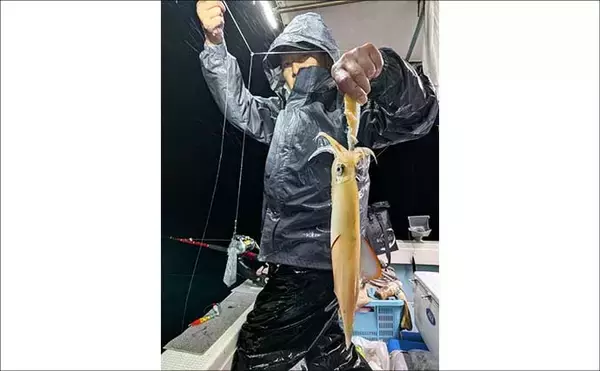 「夜イカシーズン好スタート！釣る人100匹オーバー【夜焚きイカ釣り釣果速報12選・福岡】」の画像