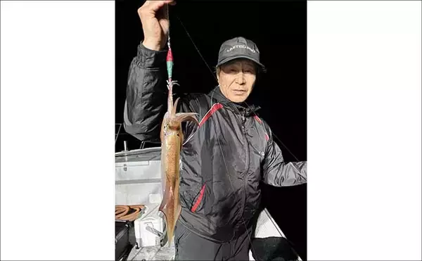 「夜イカシーズン好スタート！釣る人100匹オーバー【夜焚きイカ釣り釣果速報12選・福岡】」の画像