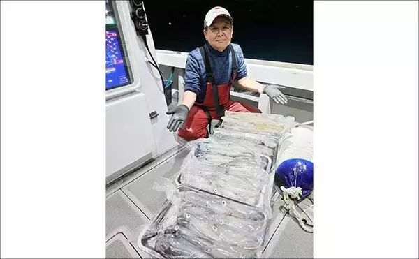 「夜イカシーズン好スタート！釣る人100匹オーバー【夜焚きイカ釣り釣果速報12選・福岡】」の画像