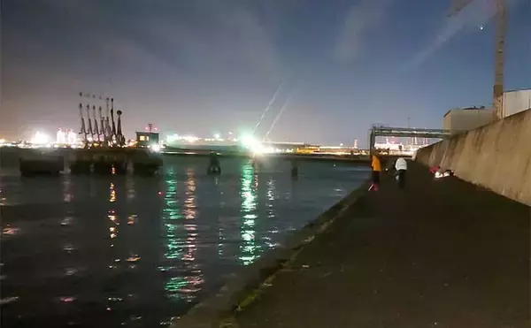 「名古屋港での夜釣りでアナゴ5匹をキャッチ【愛知】深場狙いの遠投が奏功」の画像