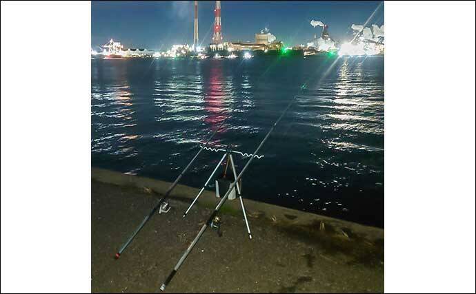 名古屋港での夜釣りでアナゴ5匹をキャッチ【愛知】深場狙いの遠投が奏功