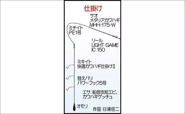 「「初挑戦でも良型続出！」船カワハギ釣りで20cm超含む11尾を手中【大分・SOYAMARU】」の画像