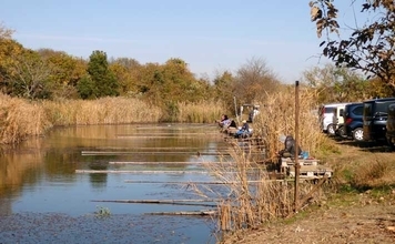 今週のヘラブナ推薦釣り場2026【神奈川・海老名運動公園下】