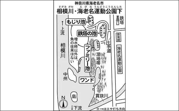 「今週のヘラブナ推薦釣り場2026【神奈川・海老名運動公園下】」の画像