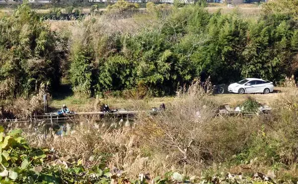 「今週のヘラブナ推薦釣り場2026【神奈川・海老名運動公園下】」の画像