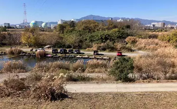 「今週のヘラブナ推薦釣り場2026【神奈川・海老名運動公園下】」の画像