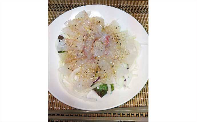 冬が旬のご当地ターゲット『イガミ（ブダイ）』釣りに挑戦　釣り方微調整で本命に迫る