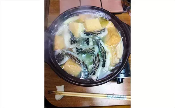 「冬が旬のご当地ターゲット『イガミ（ブダイ）』釣りに挑戦　釣り方微調整で本命に迫る」の画像