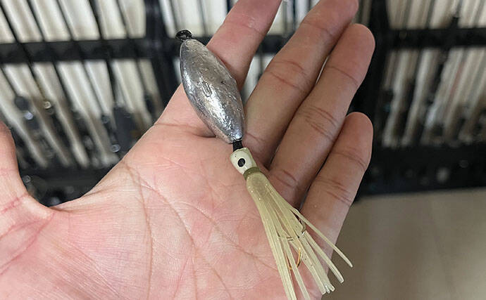 敢えての「下道」遠征釣行が楽し過ぎた！　100均自作仕掛けでヒラマサにキジハタ連発 【福井】