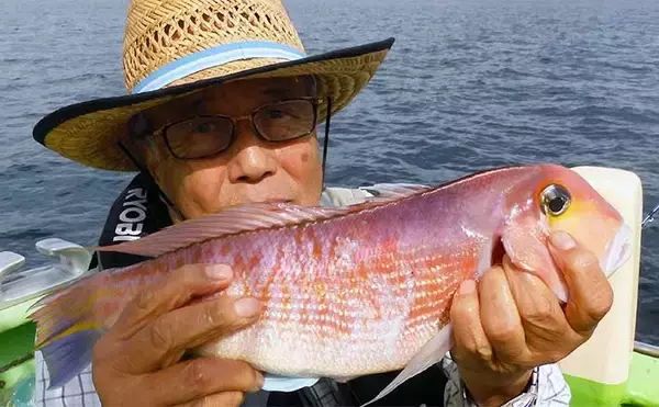 アマダイ釣りで43cm頭に本命好捕【茅ヶ崎・まごうの丸】好ゲストにカイワリも