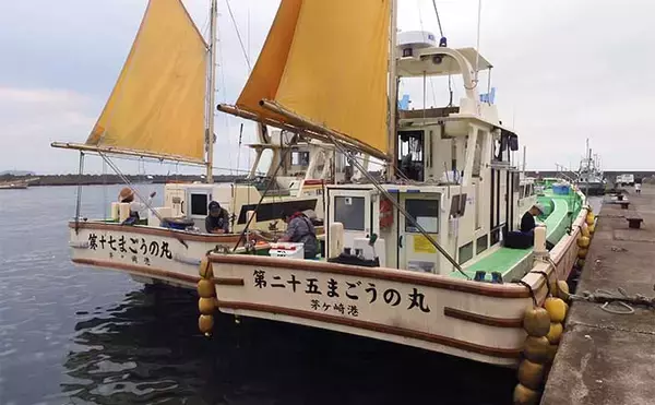 「アマダイ釣りで43cm頭に本命好捕【茅ヶ崎・まごうの丸】好ゲストにカイワリも」の画像