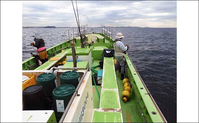 アマダイ釣りで43cm頭に本命好捕【茅ヶ崎・まごうの丸】好ゲストにカイワリも