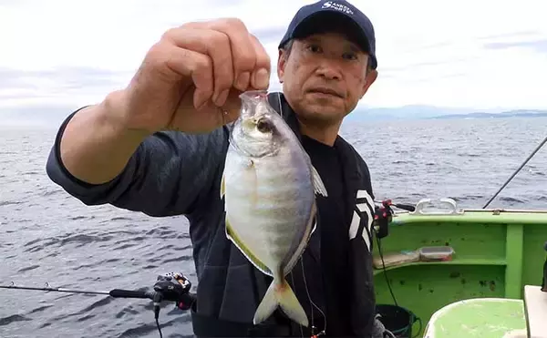 「アマダイ釣りで43cm頭に本命好捕【茅ヶ崎・まごうの丸】好ゲストにカイワリも」の画像