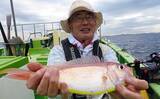 「アマダイ釣りで43cm頭に本命好捕【茅ヶ崎・まごうの丸】好ゲストにカイワリも」の画像8