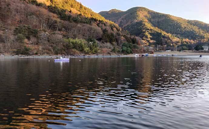 「平均サイズ上々！」西湖のボートワカサギ釣りで12cm級中心に193尾【山梨】