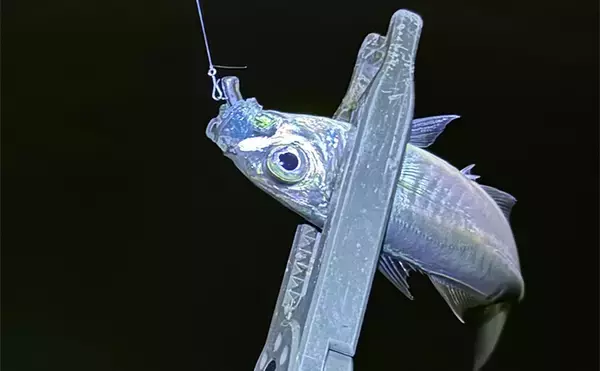 「アジング＆メバリングにおける【パイロットリグの考え方と誘い方】」の画像