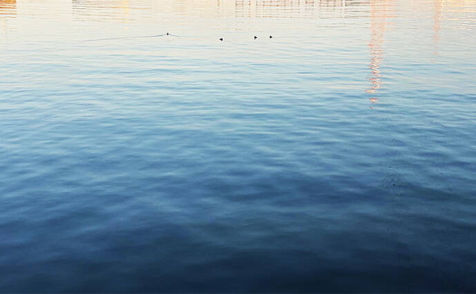 ライトゲームにおける潮止まり打開策　リグの小型＆軽量化が決め手か