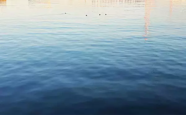 「ライトゲームにおける潮止まり打開策　リグの小型＆軽量化が決め手か」の画像