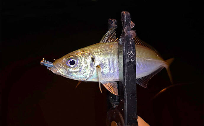 ライトゲームにおける潮止まり打開策　リグの小型＆軽量化が決め手か