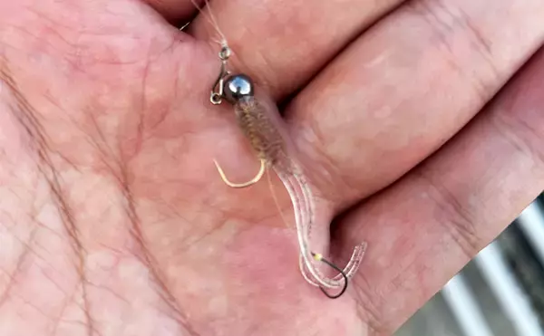 「ライトゲームにおける潮止まり打開策　リグの小型＆軽量化が決め手か」の画像