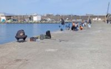 釣り初心者が初めての釣りを楽しむコツ3選　不安を解消して安心にデビューしよう