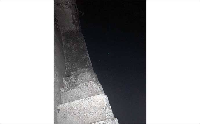 釣り初心者が初めての釣りを楽しむコツ3選　不安を解消して安心にデビューしよう