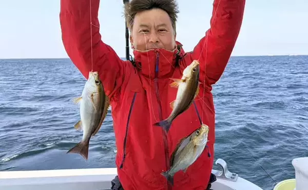 相模湾・船のエサ釣り釣果レポート【神奈川】LT五目釣りで旬のイサキを45尾手中！