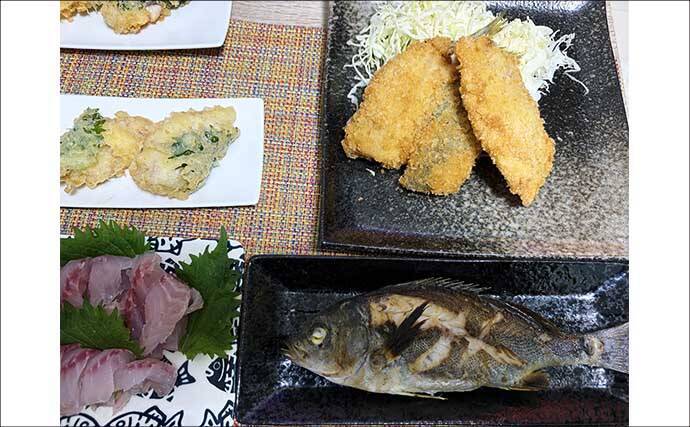 相模湾・船のエサ釣り釣果レポート【神奈川】LT五目釣りで旬のイサキを45尾手中！
