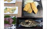 「相模湾・船のエサ釣り釣果レポート【神奈川】LT五目釣りで旬のイサキを45尾手中！」の画像6