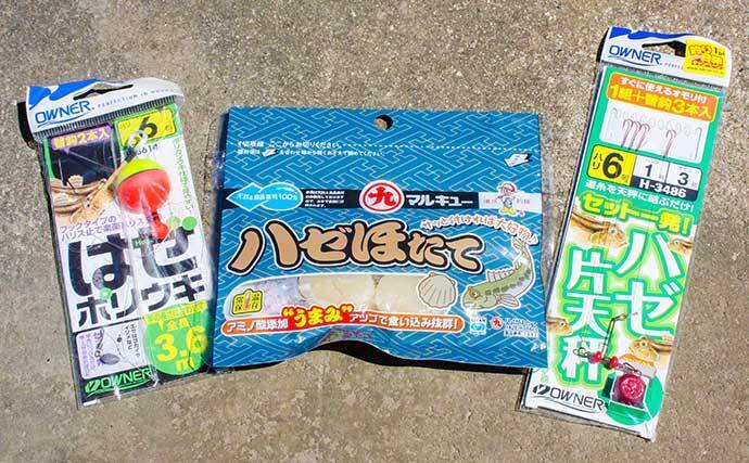 多摩川でのハゼ釣りで本命好捕【神奈川・殿町第2公園】ほたてエサがアタリ？