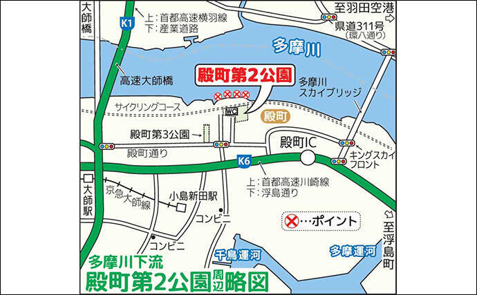 多摩川でのハゼ釣りで本命好捕【神奈川・殿町第2公園】ほたてエサがアタリ？
