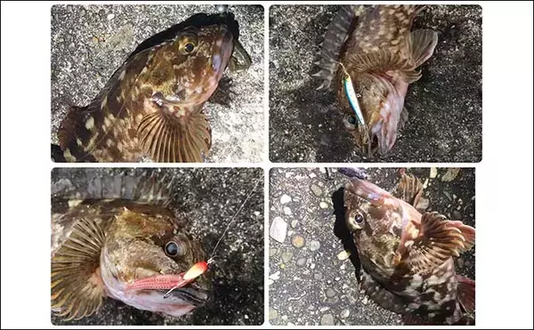 過去の釣り写真を「LINE Camera」で加工してみた　釣れたパターンの記録にも