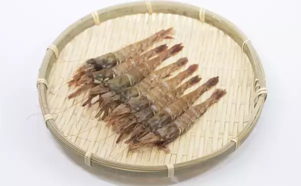 「全国各地にいる「がすえび」と呼ばれるエビたち　ガス臭いのに美味しいの？」の画像