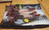 「国産最高峰の高級エビ『ブドウエビ』は飛び抜けた美味しさ　昔は廃棄されていた？」の画像1