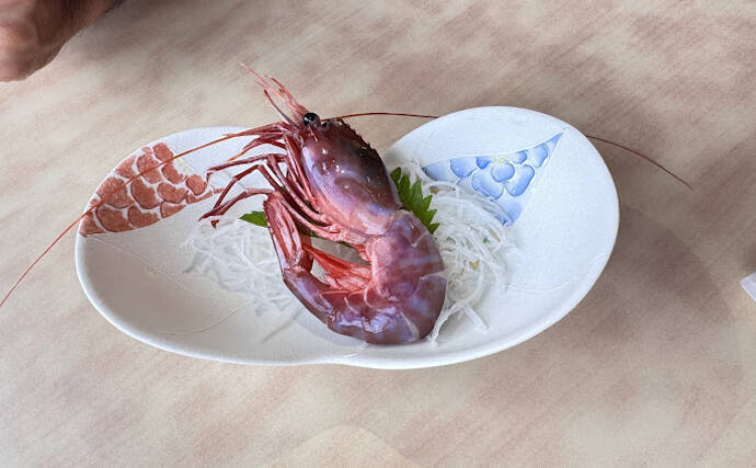 国産最高峰の高級エビ『ブドウエビ』は飛び抜けた美味しさ　昔は廃棄されていた？