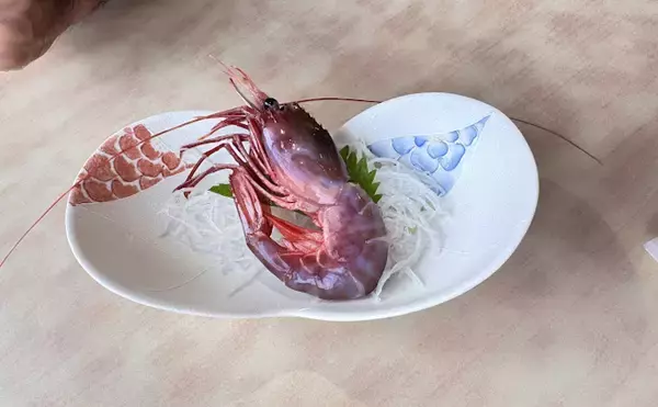 「国産最高峰の高級エビ『ブドウエビ』は飛び抜けた美味しさ　昔は廃棄されていた？」の画像