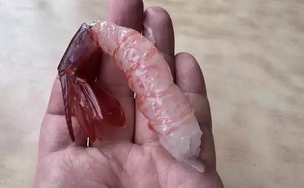 「国産最高峰の高級エビ『ブドウエビ』は飛び抜けた美味しさ　昔は廃棄されていた？」の画像