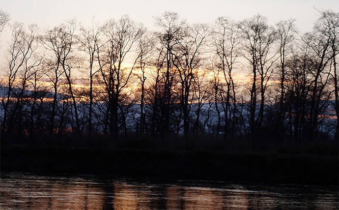 釧路湿原で「幻の魚」イトウを追う　静けさが支配する大自然をカヌーで進む