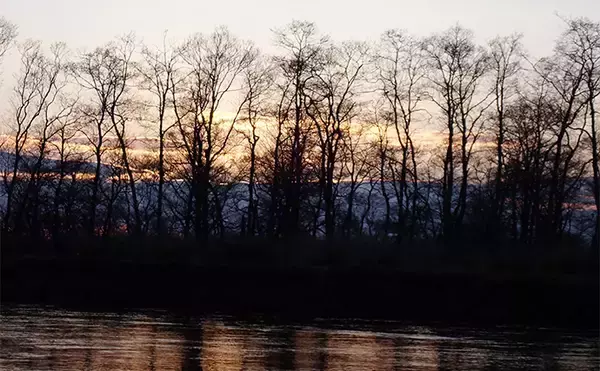 「釧路湿原で「幻の魚」イトウを追う　静けさが支配する大自然をカヌーで進む」の画像