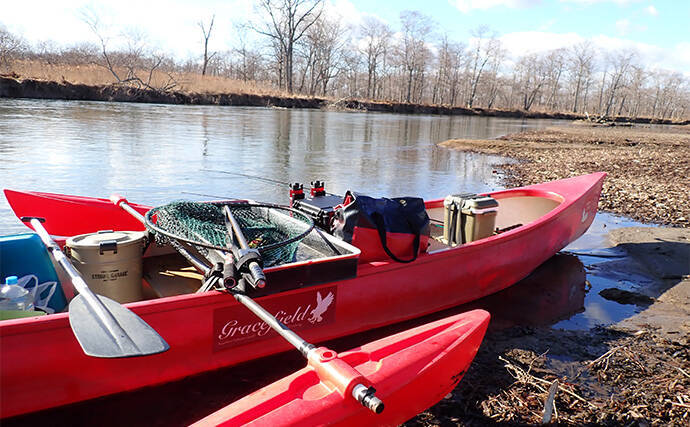 釧路湿原で「幻の魚」イトウを追う　静けさが支配する大自然をカヌーで進む