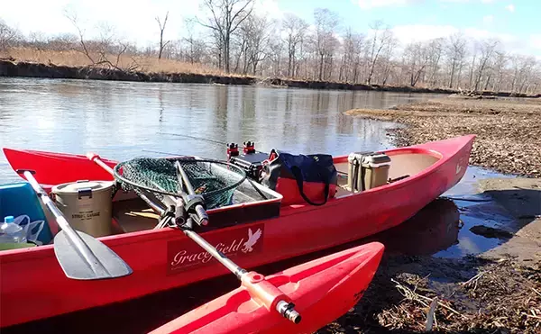 「釧路湿原で「幻の魚」イトウを追う　静けさが支配する大自然をカヌーで進む」の画像