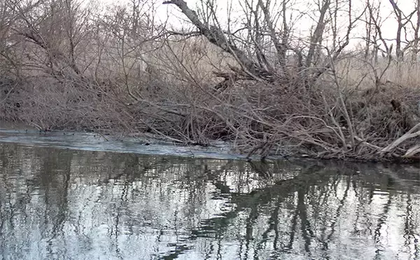 「釧路湿原で「幻の魚」イトウを追う　静けさが支配する大自然をカヌーで進む」の画像