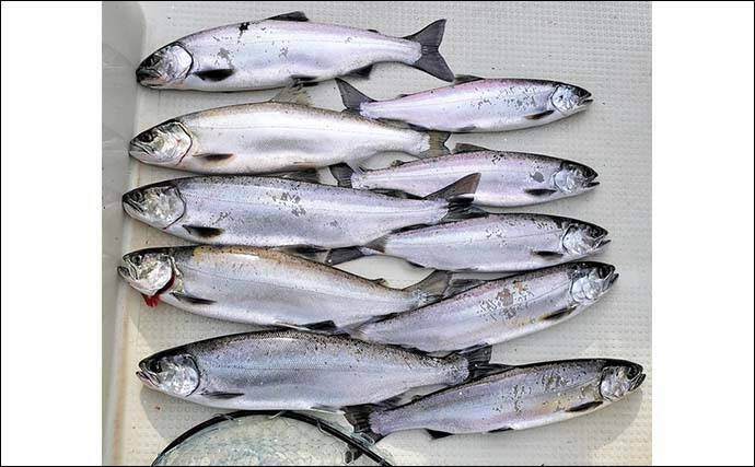 琵琶湖のレイクトローリングでビワマス連発【滋賀県】48cm頭に2人で10匹達成