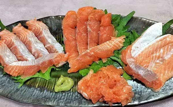 「琵琶湖のレイクトローリングでビワマス連発【滋賀県】48cm頭に2人で10匹達成」の画像